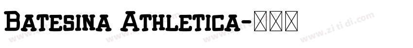 Batesina Athletica字体转换